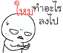 39494078