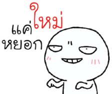 39494081