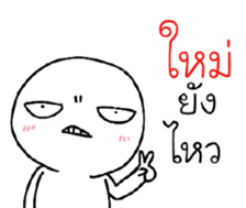 39494084