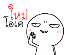 39494091