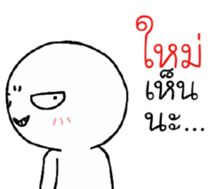 39494097