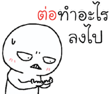 39494358