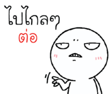 39494362