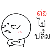 39494372