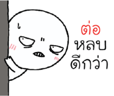 39494381