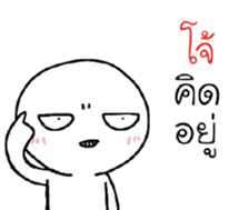 39494803