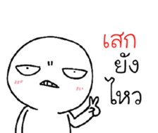39495004