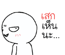 39495017
