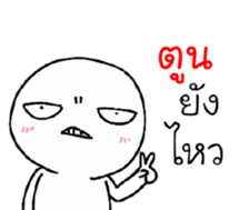39495620