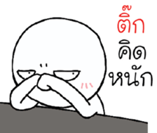39495640
