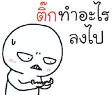 39495654