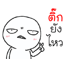 39495660