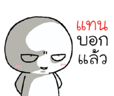 39495725