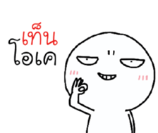 39495907