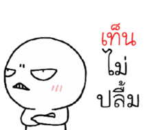 39495908