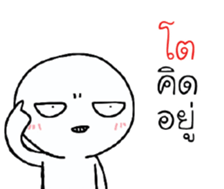 39495955
