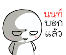 39495981