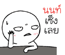39495984