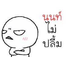 39496004