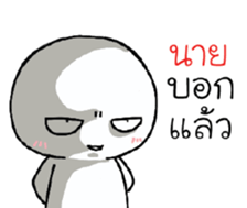 39496021