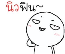 39496065
