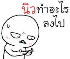 39496078