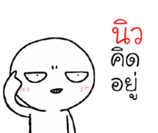 39496083