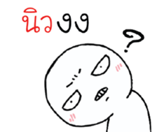 39496087