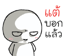 39496453