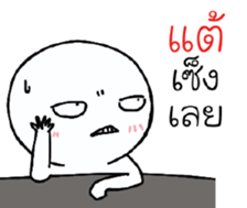 39496456