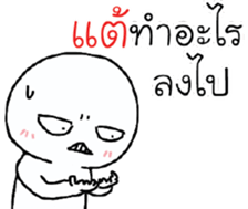 39496462