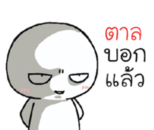 39497053