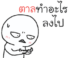 39497062