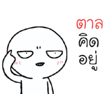 39497067