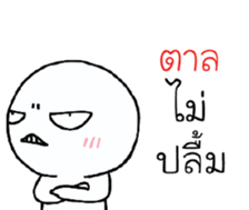 39497076