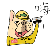 39498216