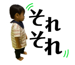 395000306