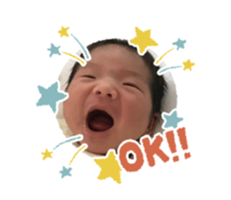 395006648