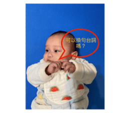 395056590