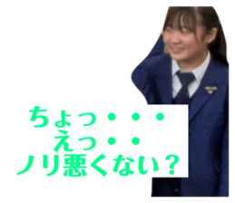 395059811