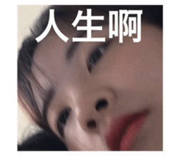 395071845