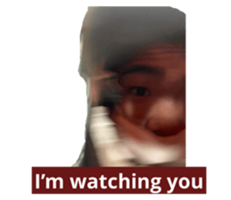 395072665