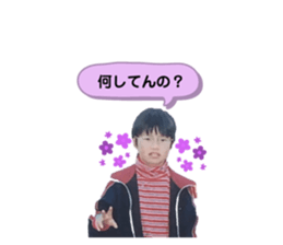395075668