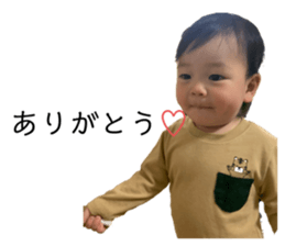 395095655