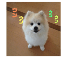 395107044