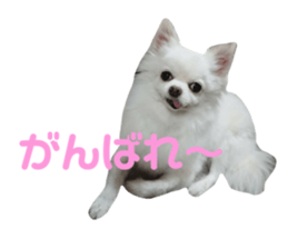 395112993