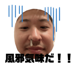 395116647