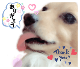 395119237