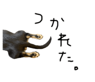 395131253