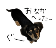 395131254